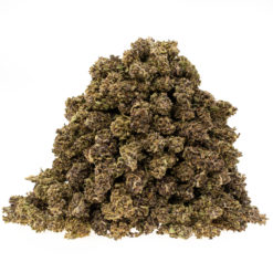 trawa-cbd-czarny-domina_haufen_web