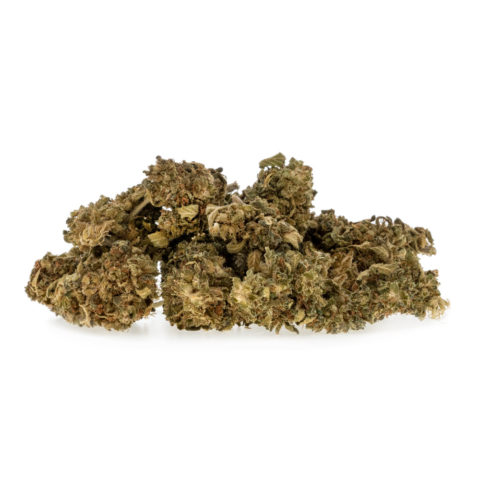 6g_6_web na trawę-cbd-lekarstwo